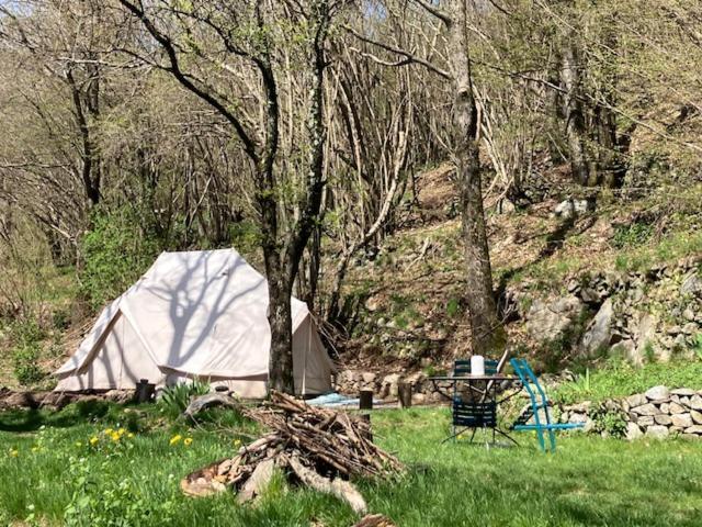 Grande Tente Tipi En Pleine Foret Burzet Экстерьер фото